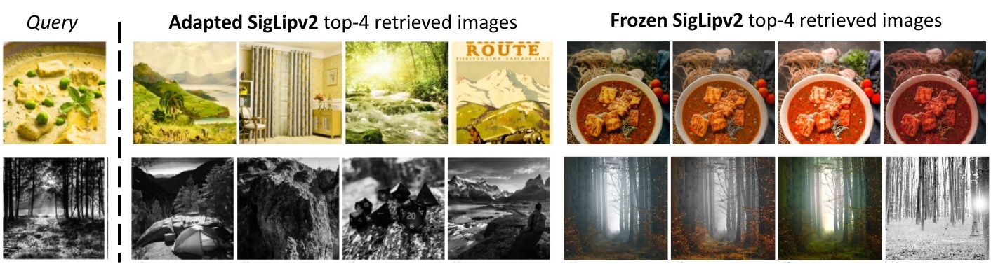 Retrieval comparison using adapted and frozen SigLIPv2 features
